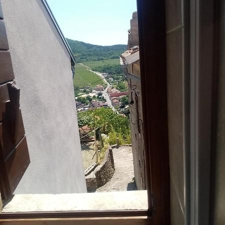 Rooms Serafin-Lavanda Motovun Extérieur photo