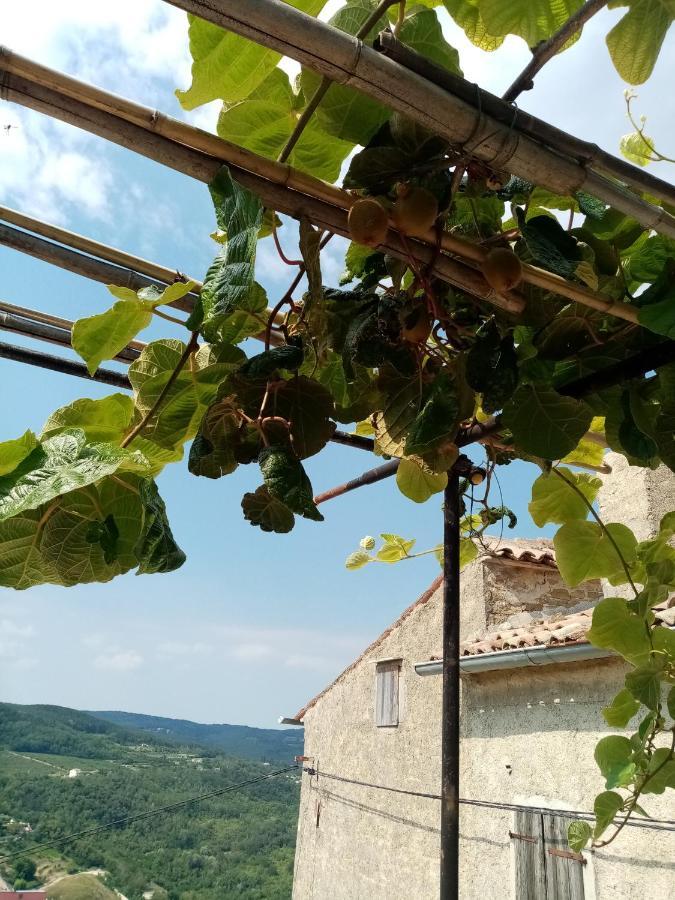 Rooms Serafin-Lavanda Motovun Extérieur photo