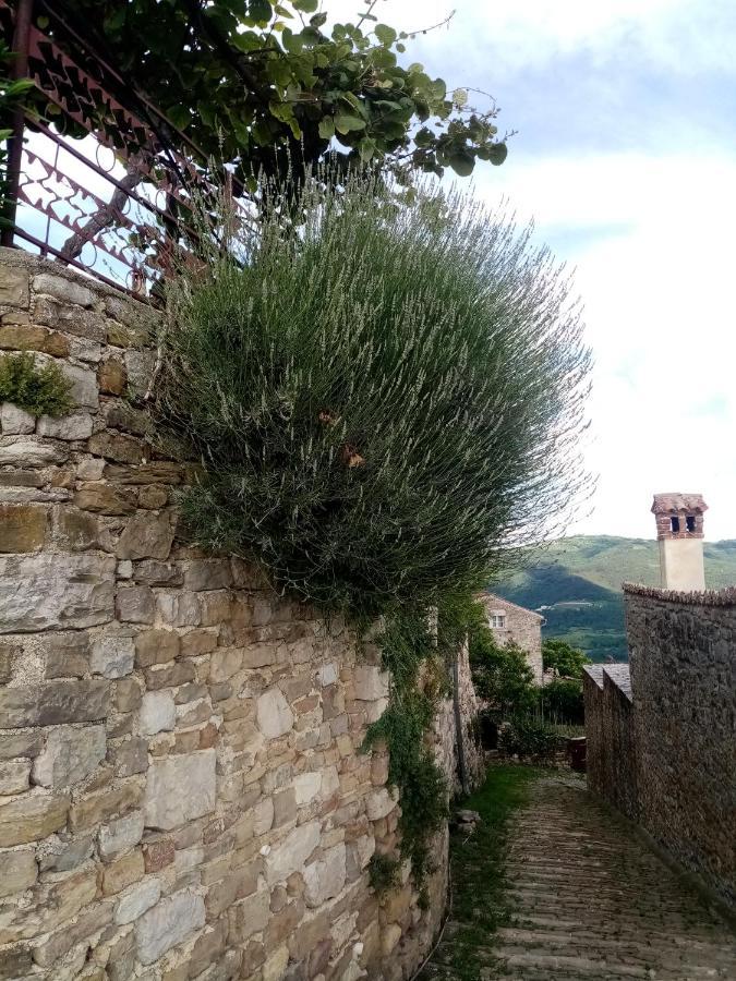 Rooms Serafin-Lavanda Motovun Extérieur photo